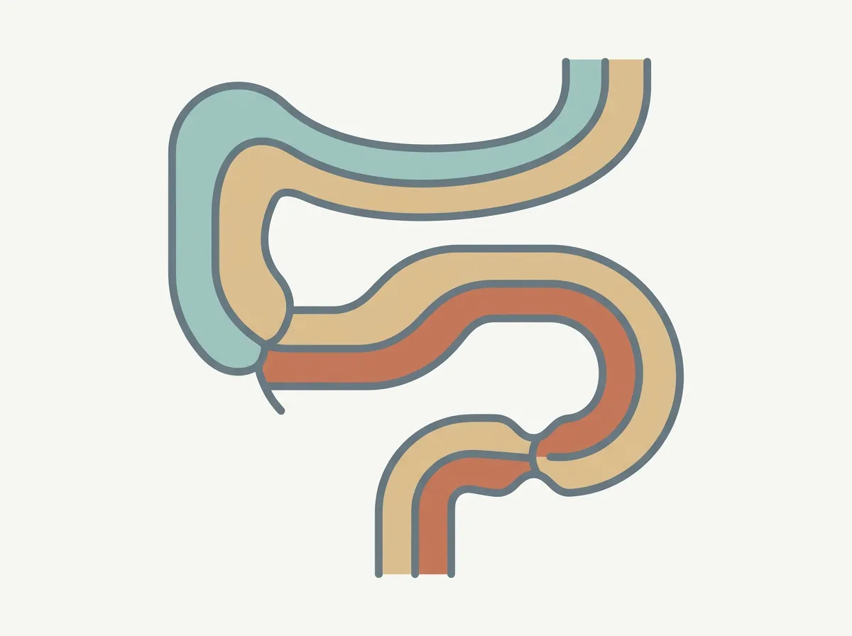Diagram: Thin Stools: What Narrow or Pencil-Thin Poop Can Mean — illustration